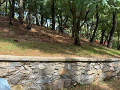 -刘公岛景区