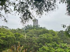 -深圳国际园林花卉博览园