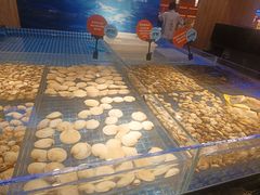 -焰江山海鲜牛排烤肉自助(锦华万达二星店)