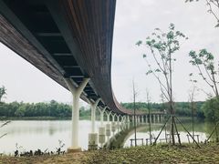 -昆山城市生态森林公园