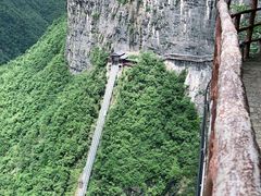 -鹿院坪生态旅游景区