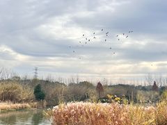 -沙家浜风景区