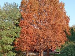 -元大都城垣遗址公园