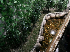 android_upload_pic-上海大自然野生昆虫馆