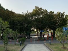 -上海中医药大学附属曙光医院(东部)
