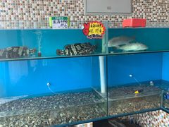 水产区-港畔赶海蒸汽海鲜烧烤自助(仙螺岛店)