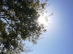 -敬亭山风景名胜区