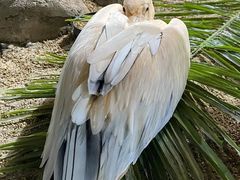 -海合安武汉极地海洋公园