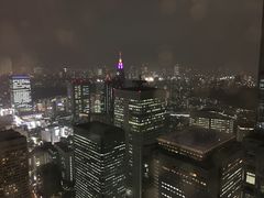 景点-东京都厅舍