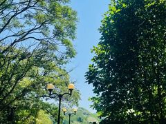 -大连植物园