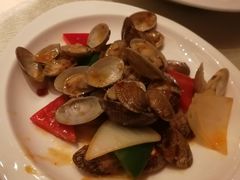 辣汁炒花蛤-上海金桥红枫万豪酒店-万豪中餐厅