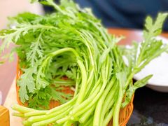 茼蒿-情忆草原涮肉馆