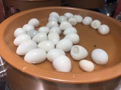 -龍歌自助小火锅(市南金茂湾店)