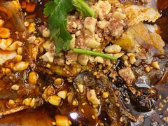 -陈麻婆豆腐总店