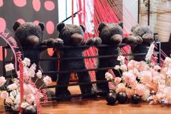 -DNA Wedding 婚礼记(上海店)