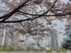 -后襄河公园