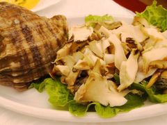 白灼观音螺-渔中舟海鲜大排档(普陀沈家门店)