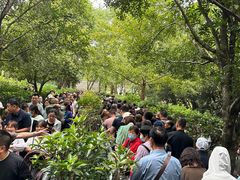 -韶山毛泽东同志故居