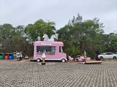 -广东惠东海龟国家级自然保护区