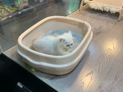 -宠物世家(仲盛世界商城店)
