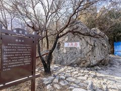 -阳台山自然风景区