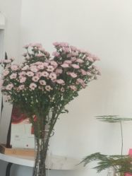 -瑶芳清颜草本祛痘