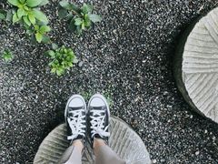 -乐领拈花溪·林涧食韵