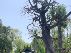 -晋祠公园