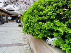 -仁爱团泊湖温泉中心