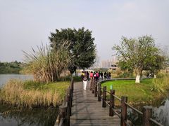 -眉山湿地公园(东坡区)