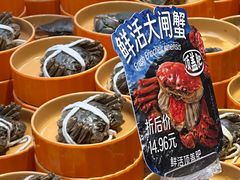 -海底捞大排档火锅(打浦路店)