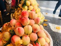 -溪口-滕头旅游景区