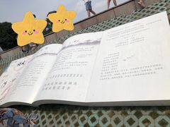 -观潮胜地公园