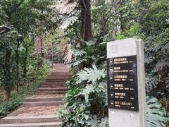 -南岗山公园