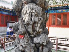 -北京国子监胡同
