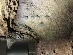 -中国西峡恐龙遗迹园