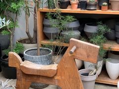 -自由生长植物工作室(深港花卉中心店)