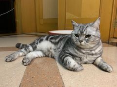 -瑞幸咖啡(云密城J栋店)