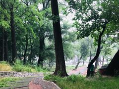 -阳台山自然风景区