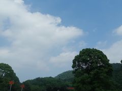 -桃花岭景区