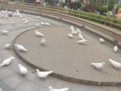 -南宫五洲植物乐园