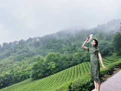 -敬亭山风景名胜区