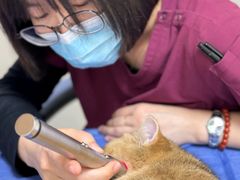 -美联众合动物医院·24h京西诊疗中心