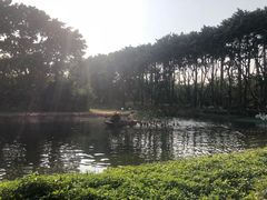 -广州长隆飞鸟乐园