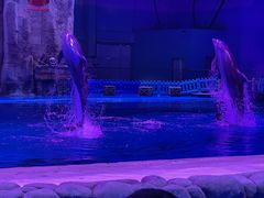 -华夏文旅西安度假区