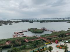 -芒洲湿地公园