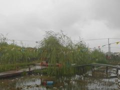 -同銮特种养殖场·龙虾垂钓