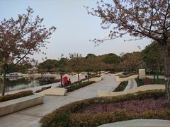 -新江湾城公园