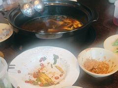 -滇野云南野生菌餐厅(陕西南路店)