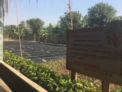 -长廊欢乐园